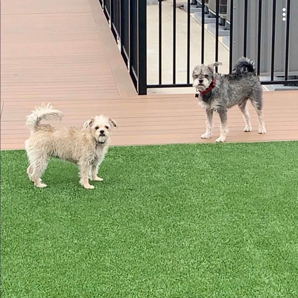 Meet your Posher, Gabrielle